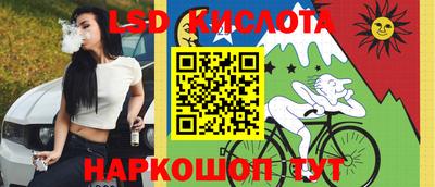 шишки Бийск