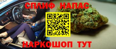 шишки Бийск
