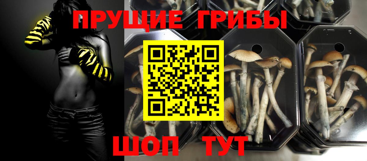 Галлюциногенные грибы Cubensis Аша